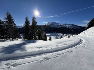 İsviçre Alpleri 'nin taze dağlık kar örtüsünde ve St. Antonien (St. Antoenien) Kanton of Grisons, İsviçre (Kanton Graubuenden, Schweiz)
