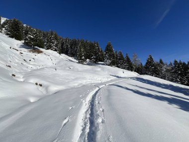 İsviçre Alpleri 'nin taze dağlık kar örtüsünde ve St. Antonien (St. Antoenien) Kanton of Grisons, İsviçre (Kanton Graubuenden, Schweiz)