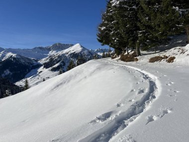 İsviçre Alpleri 'nin taze dağlık kar örtüsünde ve St. Antonien (St. Antoenien) Kanton of Grisons, İsviçre (Kanton Graubuenden, Schweiz)