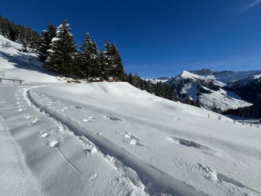 İsviçre Alpleri 'nin taze dağlık kar örtüsünde ve St. Antonien (St. Antoenien) Kanton of Grisons, İsviçre (Kanton Graubuenden, Schweiz)