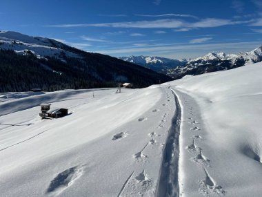 İsviçre Alpleri 'nin taze dağlık kar örtüsünde ve St. Antonien (St. Antoenien) Kanton of Grisons, İsviçre (Kanton Graubuenden, Schweiz)
