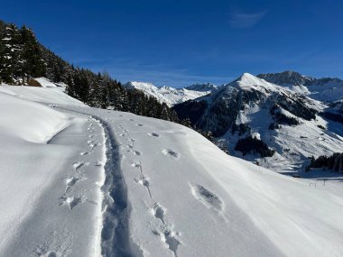 İsviçre Alpleri 'nin taze dağlık kar örtüsünde ve St. Antonien (St. Antoenien) Kanton of Grisons, İsviçre (Kanton Graubuenden, Schweiz)