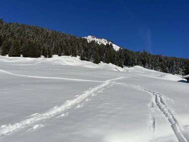 İsviçre Alpleri 'nin taze dağlık kar örtüsünde ve St. Antonien (St. Antoenien) Kanton of Grisons, İsviçre (Kanton Graubuenden, Schweiz)
