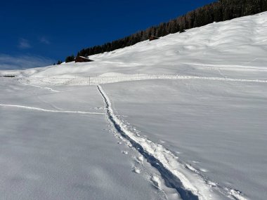 İsviçre Alpleri 'nin taze dağlık kar örtüsünde ve St. Antonien (St. Antoenien) Kanton of Grisons, İsviçre (Kanton Graubuenden, Schweiz)