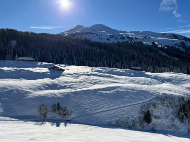 İsviçre 'nin St. Antonien (St. Antoenien) - İsviçre' nin Grisonlar Kantonu (Schweiz) üzerinde yer alan İsviçre Alpleri 'ndeki Rhaetikon Dağı' nda (veya Rhaetikon) kış atmosferi ve güzel cennet atmosferi vardır.)