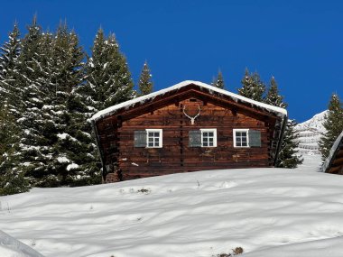 İsviçre 'nin St. Antonien (St. Antoenien) Alp köyündeki eski geleneksel kırsal mimari ve alp çiftlik hayvanları çiftlikleri - İsviçre' nin Grisons Kantonu (Kanton Graubuenden, Schweiz)