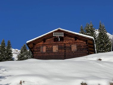 İsviçre 'nin St. Antonien (St. Antoenien) Alp köyündeki eski geleneksel kırsal mimari ve alp çiftlik hayvanları çiftlikleri - İsviçre' nin Grisons Kantonu (Kanton Graubuenden, Schweiz)