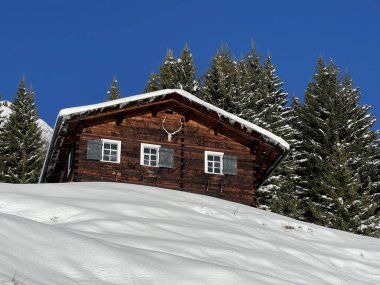 İsviçre 'nin St. Antonien (St. Antoenien) Alp köyündeki eski geleneksel kırsal mimari ve alp çiftlik hayvanları çiftlikleri - İsviçre' nin Grisons Kantonu (Kanton Graubuenden, Schweiz)