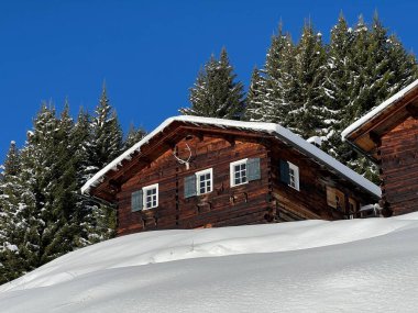 İsviçre 'nin St. Antonien (St. Antoenien) Alp köyündeki eski geleneksel kırsal mimari ve alp çiftlik hayvanları çiftlikleri - İsviçre' nin Grisons Kantonu (Kanton Graubuenden, Schweiz)