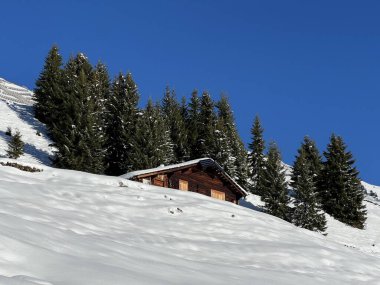 İsviçre 'nin St. Antonien (St. Antoenien) Alp köyündeki eski geleneksel kırsal mimari ve alp çiftlik hayvanları çiftlikleri - İsviçre' nin Grisons Kantonu (Kanton Graubuenden, Schweiz)
