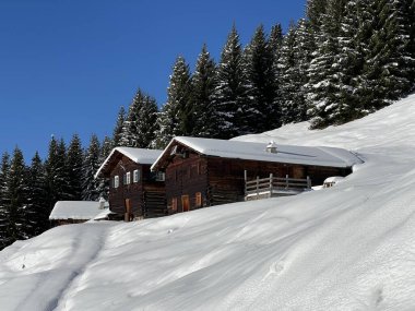 İsviçre 'nin St. Antonien (St. Antoenien) Alp köyündeki eski geleneksel kırsal mimari ve alp çiftlik hayvanları çiftlikleri - İsviçre' nin Grisons Kantonu (Kanton Graubuenden, Schweiz)