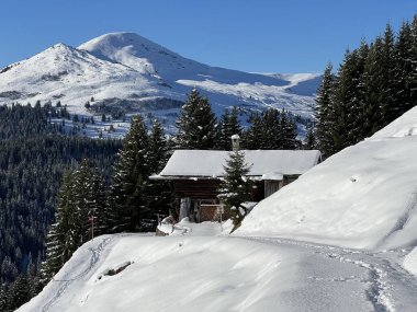 İsviçre 'nin St. Antonien (St. Antoenien) Alp köyündeki eski geleneksel kırsal mimari ve alp çiftlik hayvanları çiftlikleri - İsviçre' nin Grisons Kantonu (Kanton Graubuenden, Schweiz)