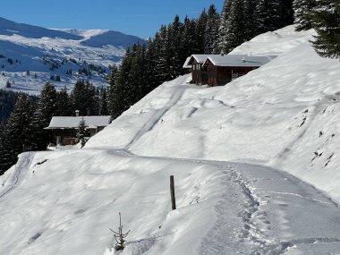 İsviçre 'nin St. Antonien (St. Antoenien) Alp köyündeki eski geleneksel kırsal mimari ve alp çiftlik hayvanları çiftlikleri - İsviçre' nin Grisons Kantonu (Kanton Graubuenden, Schweiz)