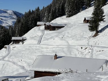 İsviçre 'nin St. Antonien (St. Antoenien) Alp köyündeki eski geleneksel kırsal mimari ve alp çiftlik hayvanları çiftlikleri - İsviçre' nin Grisons Kantonu (Kanton Graubuenden, Schweiz)