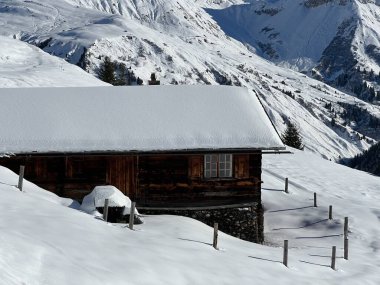 İsviçre 'nin St. Antonien (St. Antoenien) Alp köyündeki eski geleneksel kırsal mimari ve alp çiftlik hayvanları çiftlikleri - İsviçre' nin Grisons Kantonu (Kanton Graubuenden, Schweiz)
