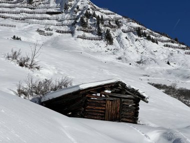 İsviçre 'nin St. Antonien (St. Antoenien) Alp köyündeki eski geleneksel kırsal mimari ve alp çiftlik hayvanları çiftlikleri - İsviçre' nin Grisons Kantonu (Kanton Graubuenden, Schweiz)