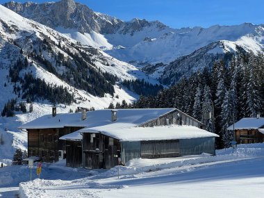 İsviçre 'nin St. Antonien (St. Antoenien) Alp köyündeki eski geleneksel kırsal mimari ve alp çiftlik hayvanları çiftlikleri - İsviçre' nin Grisons Kantonu (Kanton Graubuenden, Schweiz)