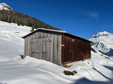 İsviçre 'nin St. Antonien (St. Antoenien) Alp köyündeki eski geleneksel kırsal mimari ve alp çiftlik hayvanları çiftlikleri - İsviçre' nin Grisons Kantonu (Kanton Graubuenden, Schweiz)