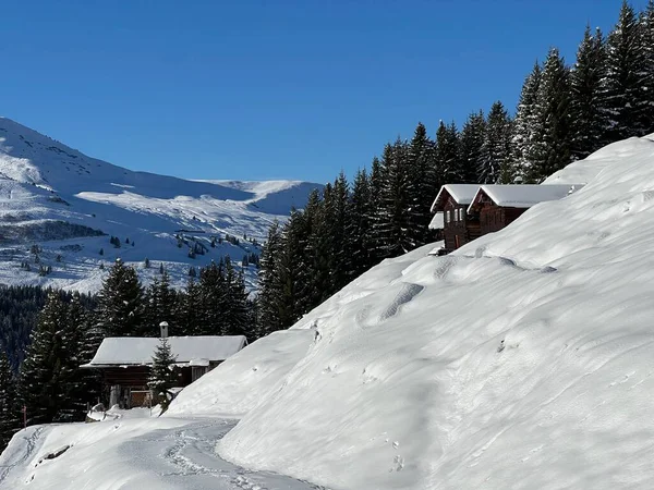 İsviçre 'nin St. Antonien (St. Antoenien) Alp köyündeki eski geleneksel kırsal mimari ve alp çiftlik hayvanları çiftlikleri - İsviçre' nin Grisons Kantonu (Kanton Graubuenden, Schweiz)