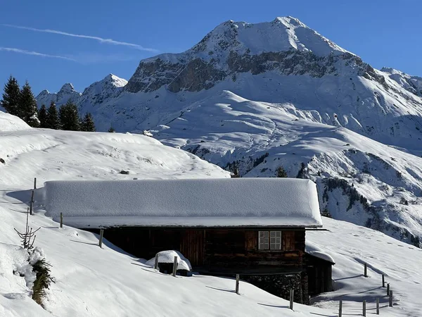 İsviçre 'nin St. Antonien (St. Antoenien) Alp köyündeki eski geleneksel kırsal mimari ve alp çiftlik hayvanları çiftlikleri - İsviçre' nin Grisons Kantonu (Kanton Graubuenden, Schweiz)