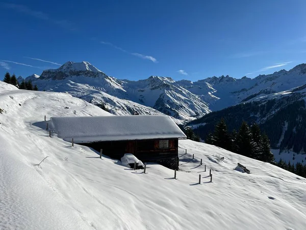 İsviçre 'nin St. Antonien (St. Antoenien) Alp köyündeki eski geleneksel kırsal mimari ve alp çiftlik hayvanları çiftlikleri - İsviçre' nin Grisons Kantonu (Kanton Graubuenden, Schweiz)