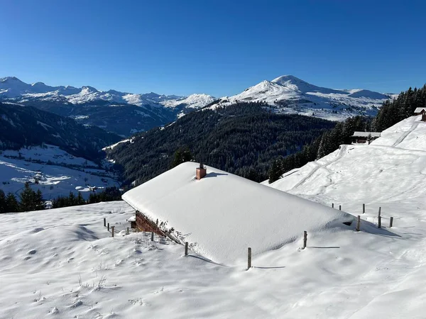 İsviçre 'nin St. Antonien (St. Antoenien) Alp köyündeki eski geleneksel kırsal mimari ve alp çiftlik hayvanları çiftlikleri - İsviçre' nin Grisons Kantonu (Kanton Graubuenden, Schweiz)