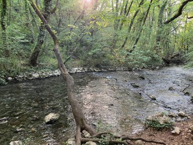 Çek Akımı veya Hırvatistan 'ın Sinjska Krajina bölgesinde (Trilj, Hırvatistan) Önemli Manzara Yakalama - Potok Yakala ili Znacajni Krajobraz Yakala na podrucju Sinjske Krajine (Trilj, Hrvatska)