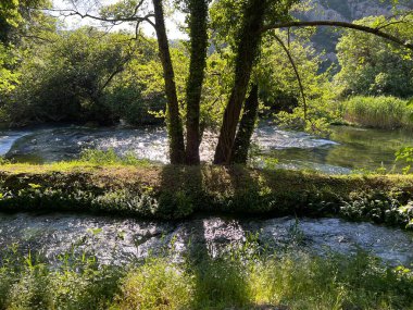 Krka Nehri 'nin Roski Şelalesi (Krka Ulusal Parkı, Hırvatistan) - Prirodni Krajolik i vejeterja rijeke Krke uz Roski tokadı (Nacionalni parkı Krka, Hrvatska)