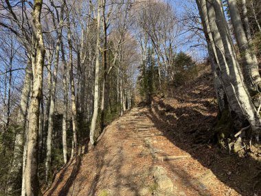 Engelberg turizm beldesi ve İsviçre 'nin Bernese Oberland bölgesinde yürüyüş rotaları veya dağcılık rotaları - Berner Oberland bölgesinde, Schweiz