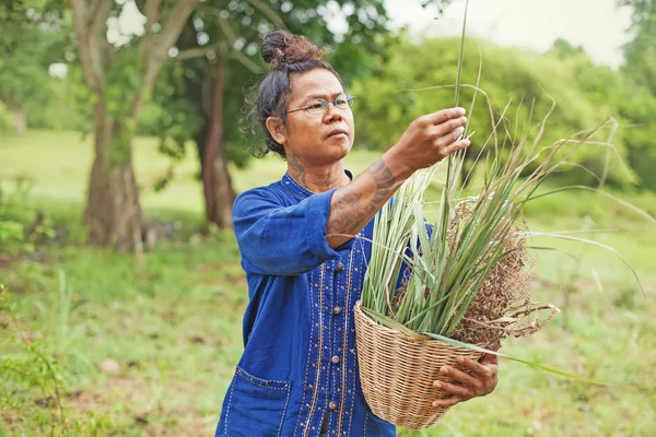 Thai gardener with herbs