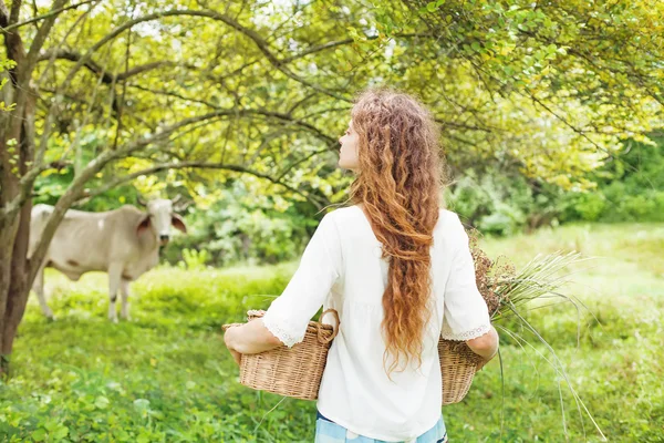 Kvinnan promenader för att mata hennes ko — Stockfoto
