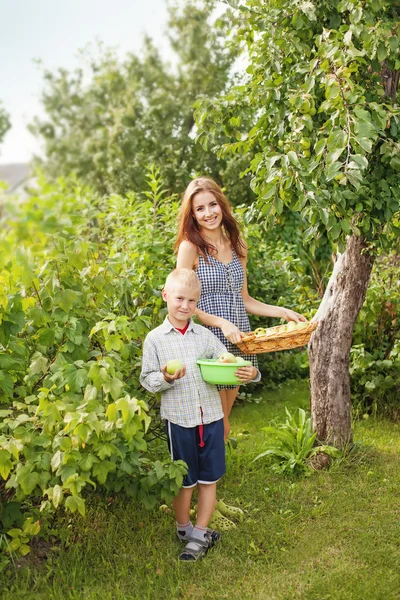 Broer en zus oogsten — Stockfoto