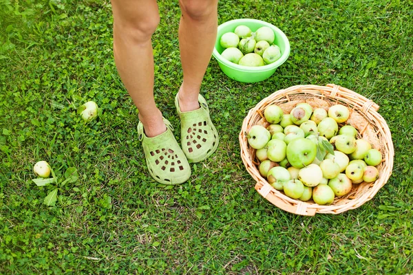 Jolie photo des jambes et des pommes — Photo