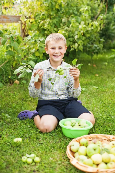 Menino comendo maçãs — Fotografia de Stock