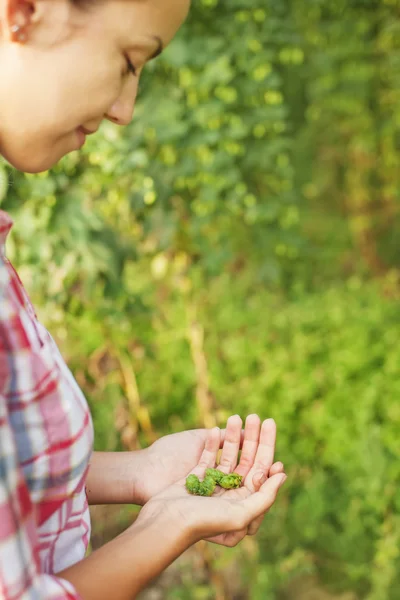 Exploitation femme récolte de houblon — Photo