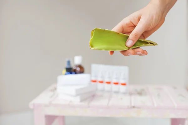 Aloe  leaf in the hand — Stock Photo, Image