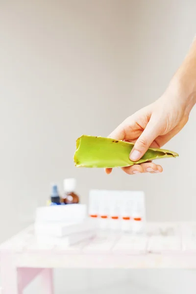 Aloe  leaf in the hand — Stock Photo, Image