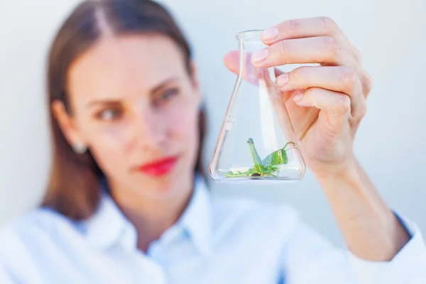 Vrouw kijken pest in een bol — Stockfoto