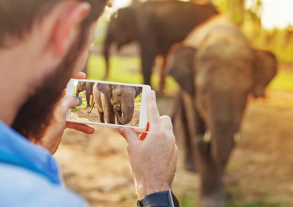 Man fotograferen babyolifant — Stockfoto