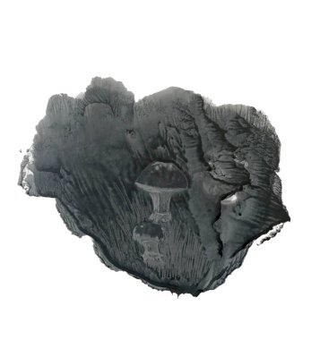 Çimlerdeki mantarlar, soyut siyah beyaz çizimler.