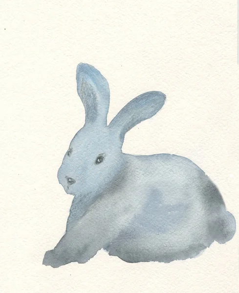 Bunny Rabbit Watercolor Drawing Easter Bunny Illustration — Stock Photo, Image