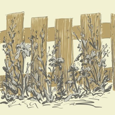 Çiçekler çitin yanında büyür, yaz gelir.