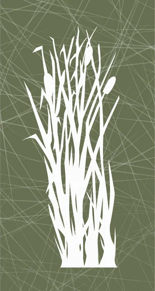Reeds Green Background White Reed Illustration — Stock Photo, Image