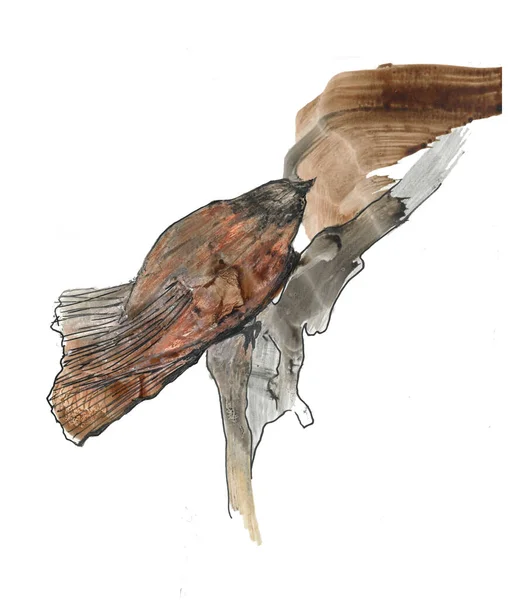 Ein Sperling Sitzt Auf Einem Ast Abstrakte Zeichnung Aquarell — Stockfoto