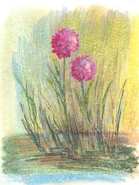Allium Egyszerű Kerek Lila Virágok Pasztell Rajz — Stock Fotó