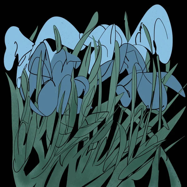 Iris Azules Hierba — Foto de Stock