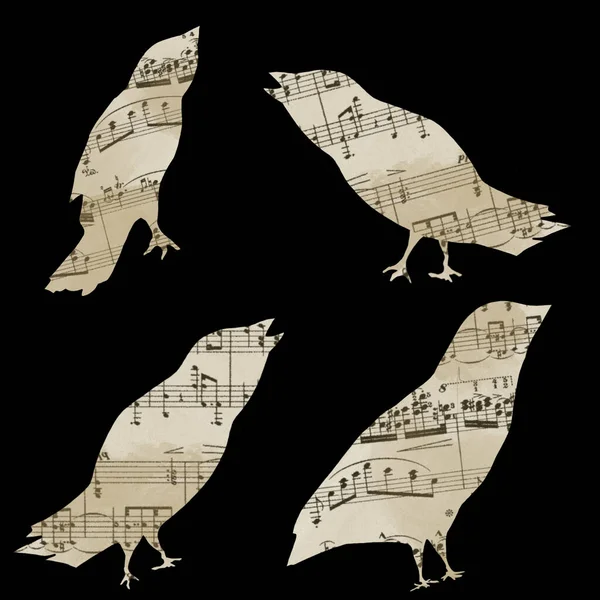 Bird Musical Notes Black Background — Stock Photo, Image