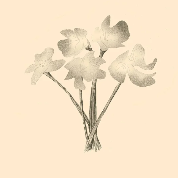 Flores Silueta Transparente Sobre Fondo Oscuro Abstracto — Foto de Stock