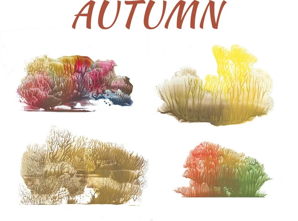 Autumn Forest Abstract Drawing White Background Group Objects — Stock Photo, Image