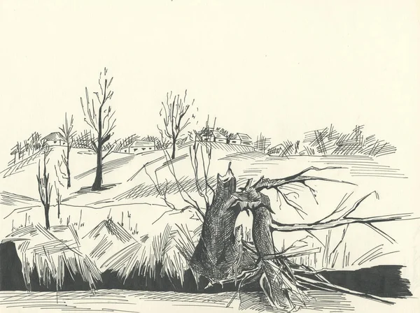 Broken Tree Drawing Broken Tree River Bank Black White Picture — Stock Photo, Image